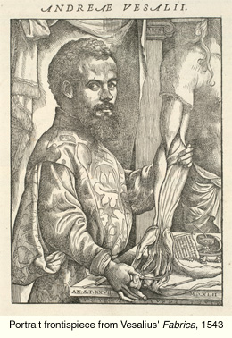 [Portrait frontispiece from Vesalius's 'Fabrica', 1543]