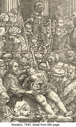 [Detail from engraved title page, 1543 (ai0085d)]